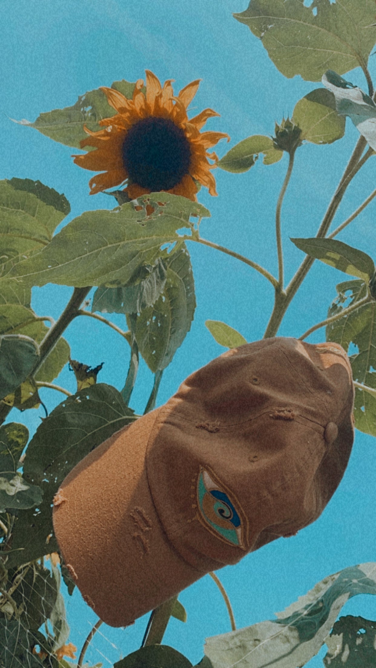 DARK KHAKI SEANOE DAD HAT